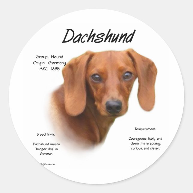 Dachshund (smooth) History Design Classic Round Sticker (Front)
