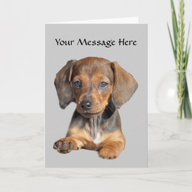 Dachshund So Cute Greeting Card (Front)