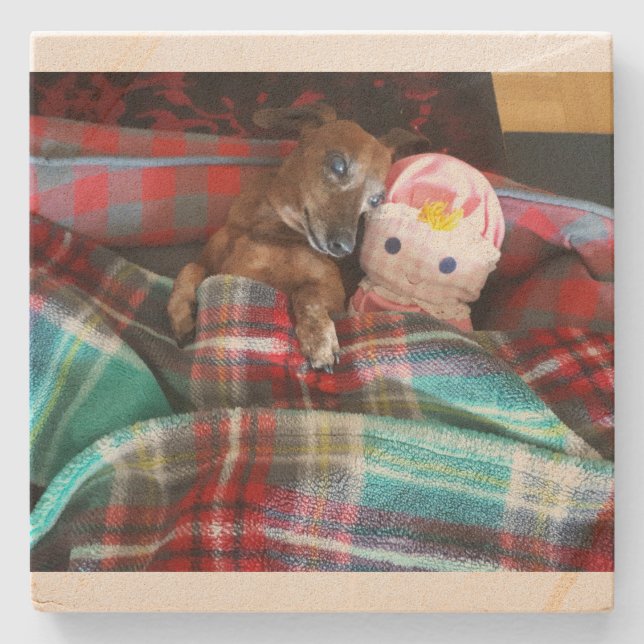 Dachshund Stone Coaster (Front)