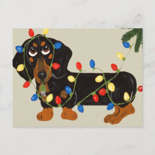 Dachshund Tangled In Christmas Lights Blk/Tan Holiday Postcard