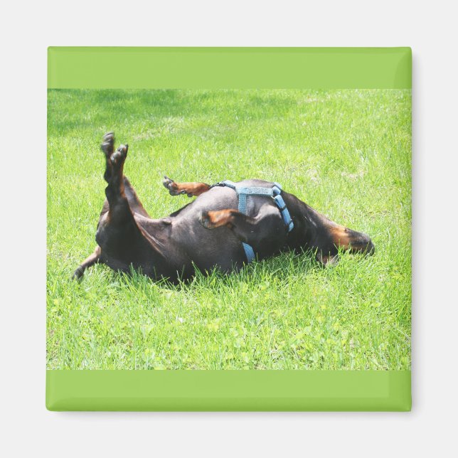 Dachshund - TGIF Magnet (Front)