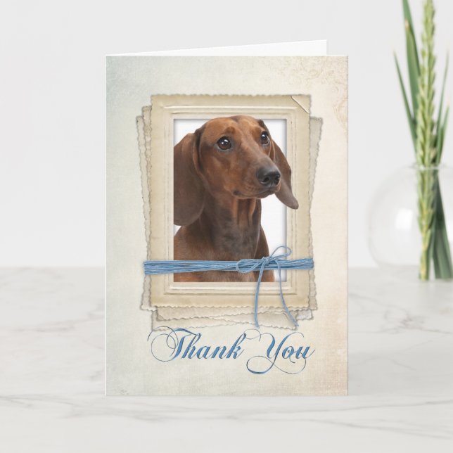 Dachshund Thank You Card (Front)