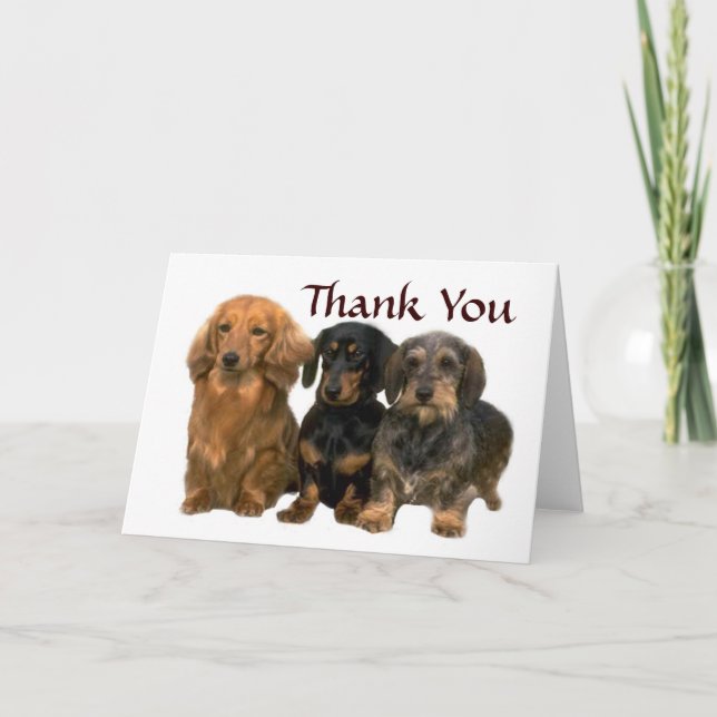 Dachshund Thank You Card (Front)