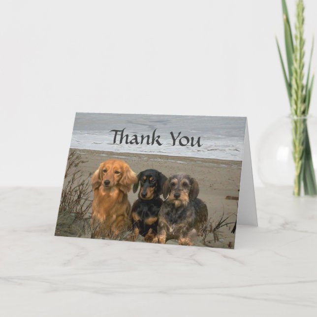 Dachshund Thank You Card Beach (Front)