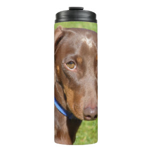 Dachshund Thermal Tumbler