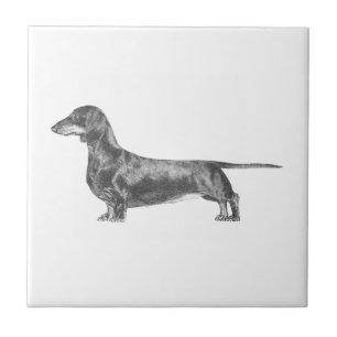 Dachshund Tile
