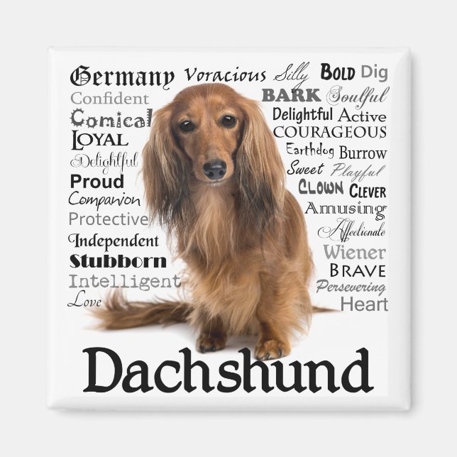 Dachshund Traits Magnet (Front)