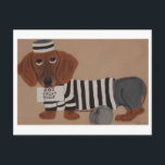 Dachshund Treat Thief Jailbird Holiday Postcard<br><div class="desc">The whimsy of this doggie is meant to bring joy to someone's day!</div>
