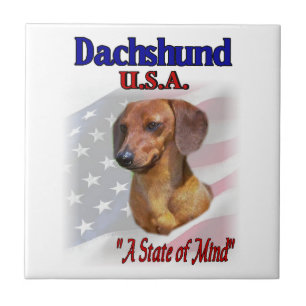 Dachshund USA Tile