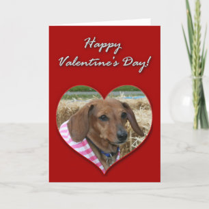 Dachshund Valentines Day Card