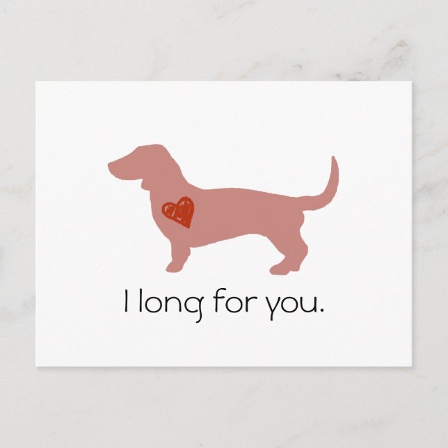 Dachshund Valentine's Day Holiday Postcard (Front)