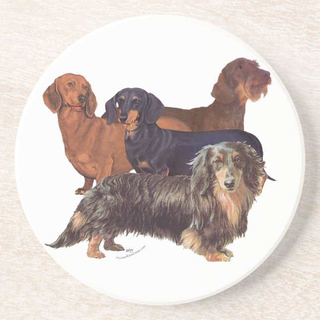 Dachshund Varieties Coaster (Front)