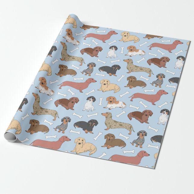 dachshund variety pattern  wrapping paper (Unrolled)
