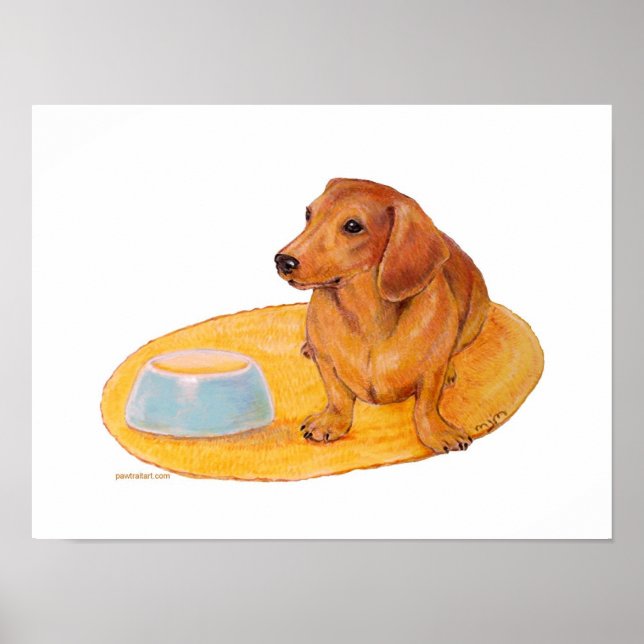 Dachshund waits for Dinner Poster (Front)