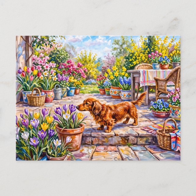 Dachshund Walking Through Colourful Blooming Sprin Postcard (Front)