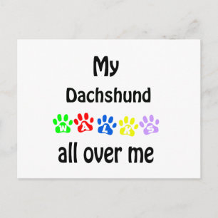 Dachshund Walks Design Postcard