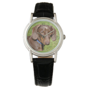 Dachshund Watch