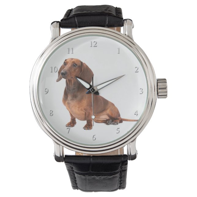 Dachshund Watch (Front)