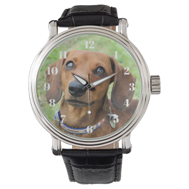 Dachshund Watch (Front)