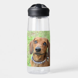 Dachshund water bottle