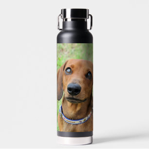 Dachshund  water bottle