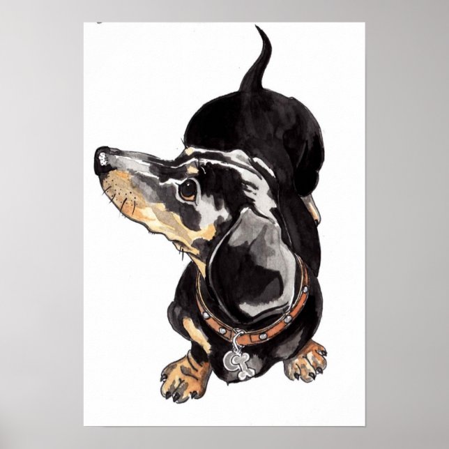 Dachshund watercolour painting by Annabel Tarrant Poster (Front)