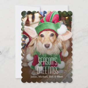 Dachshund wearing santa elf costume holiday card