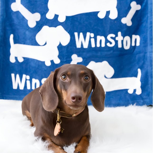 Dachshund Wiener Dog Personalised Blanket | Doxie  (Personalized dachshund blanket)