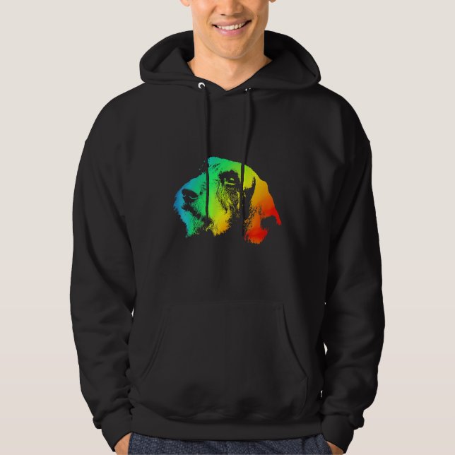 Dachshund Wire Hair Colourful Rainbow Retro  Hoodie (Front)