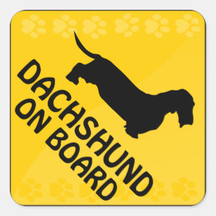Dachshund [wire-haired] Xing Square Sticker