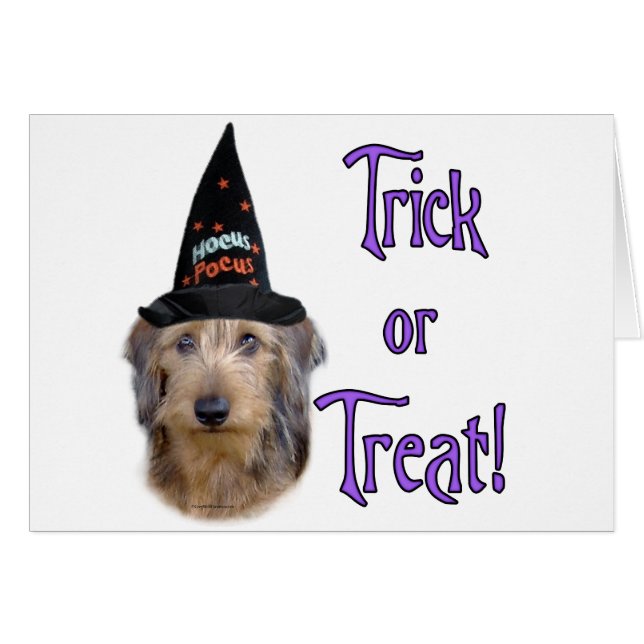 Dachshund (wire) Trick (Front Horizontal)