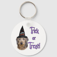 Dachshund (wire) Trick