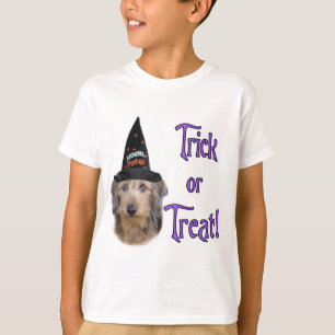 Dachshund (wire) Trick T-Shirt