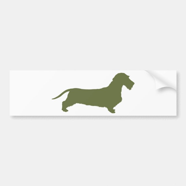 Dachshund Wirehaired Bumper Sticker (Front)