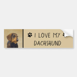 Dachshund (Wirehaired) Painting Original Dog Art Bumper Sticker