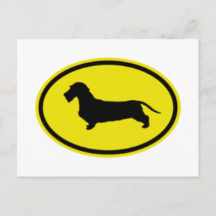 Dachshund Wirehaired Postcard