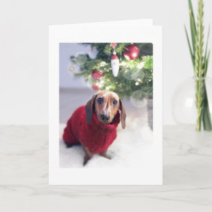 Dachshund with Christmas Tree Christmas Card