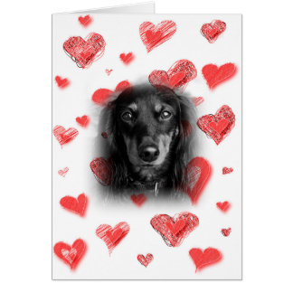 Dachshund with Red Hearts Card