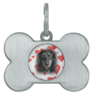 Dachshund with Red Hearts Pet Tag