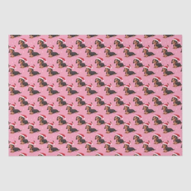 Dachshund with Santa Hat on Pink Tissue Paper (Front)