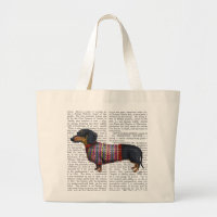 Dachshund With Woolly Sweater