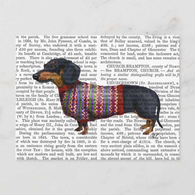Dachshund With Woolly Sweater Postcard (Front)