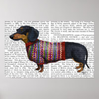 Dachshund With Woolly Sweater