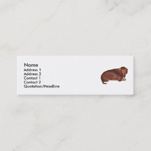 Dachshundnt Mini Business Card