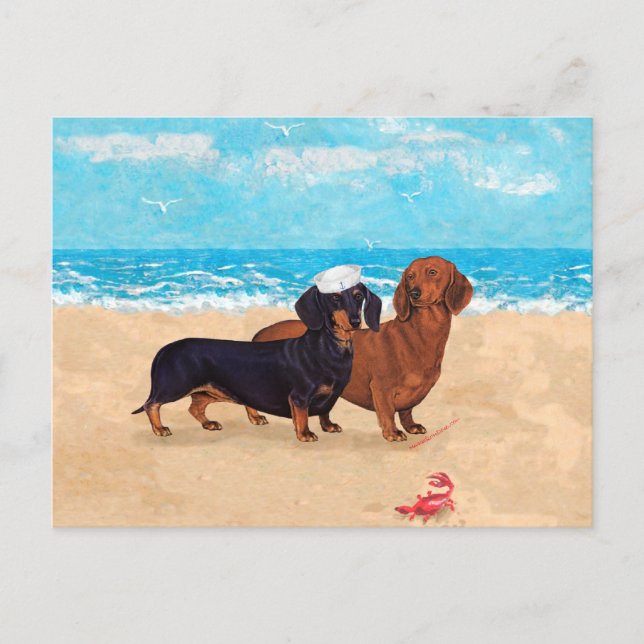Dachshunds at the Beach Postcard (Front)