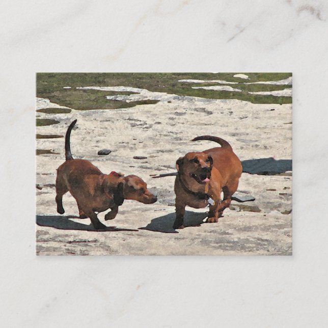 Dachshunds ATC Business Card (Front)