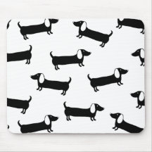 Dachshunds in black and white