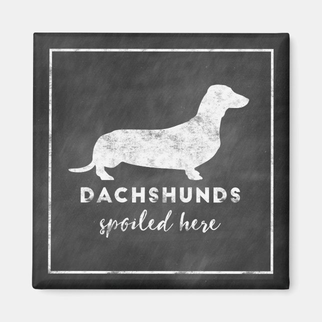 Dachshunds Spoiled Here Vintage Chalkboard Magnet (Front)