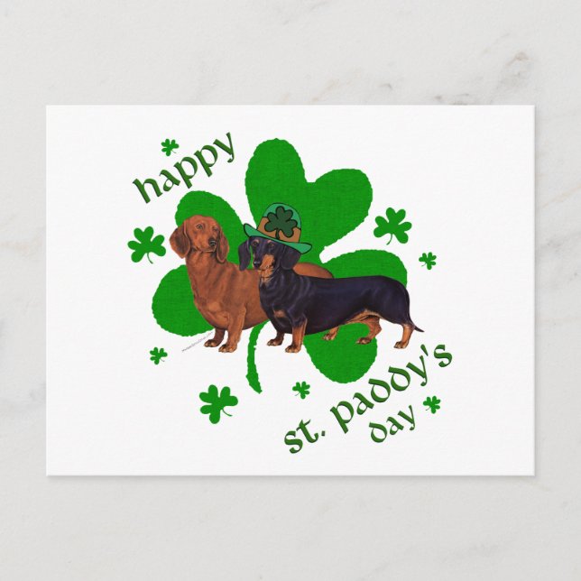 Dachshunds St Patrick's Day Postcard (Front)