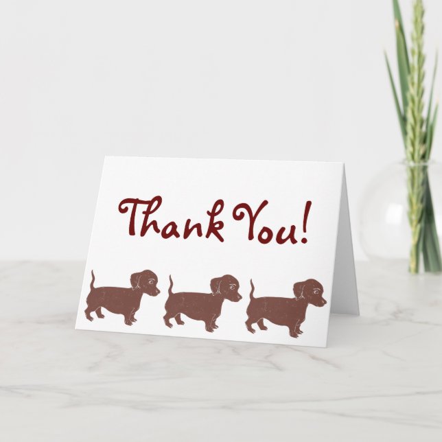 Dachshunds Thank You Card (Front)